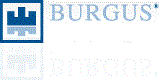 BURGUS INVEST